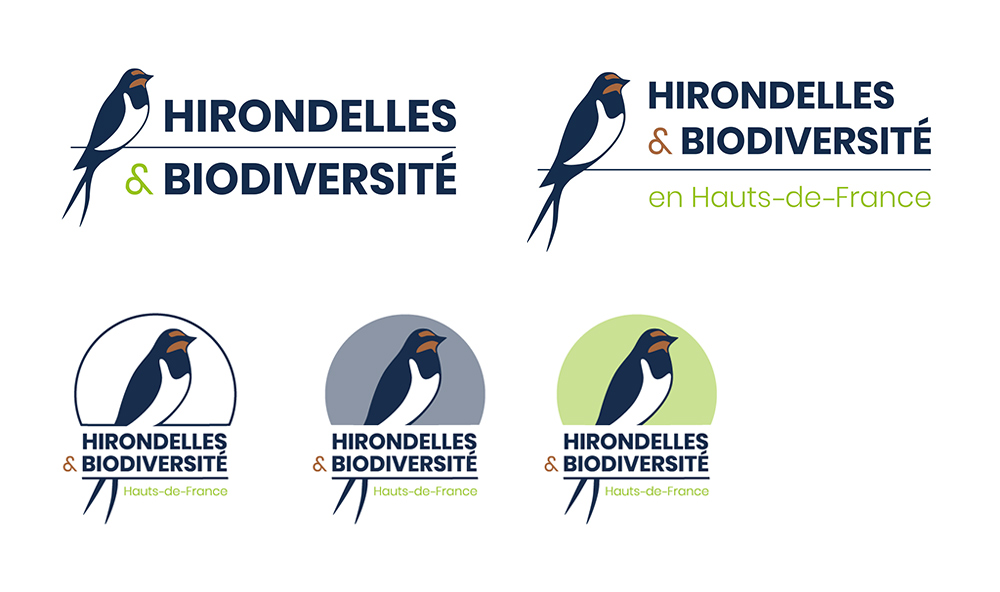 Hirondelles & Biodiversité